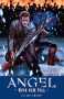 Angel After Falls (Staffel 5) Band 1