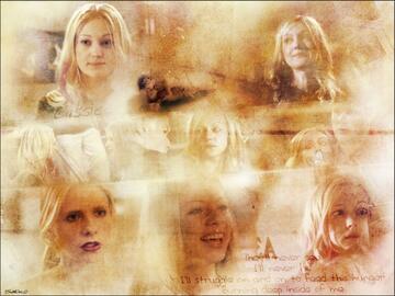 213.jpg