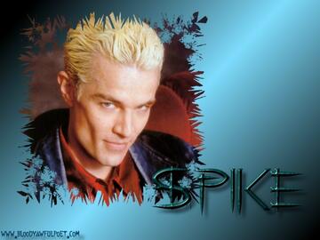 050.jpg