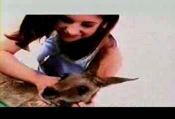 Buffy · Sonstige