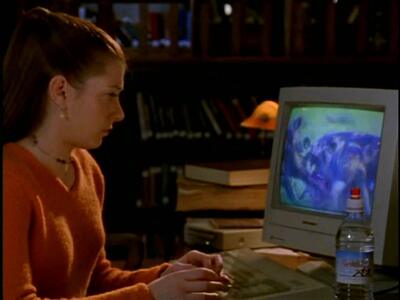 Willow
